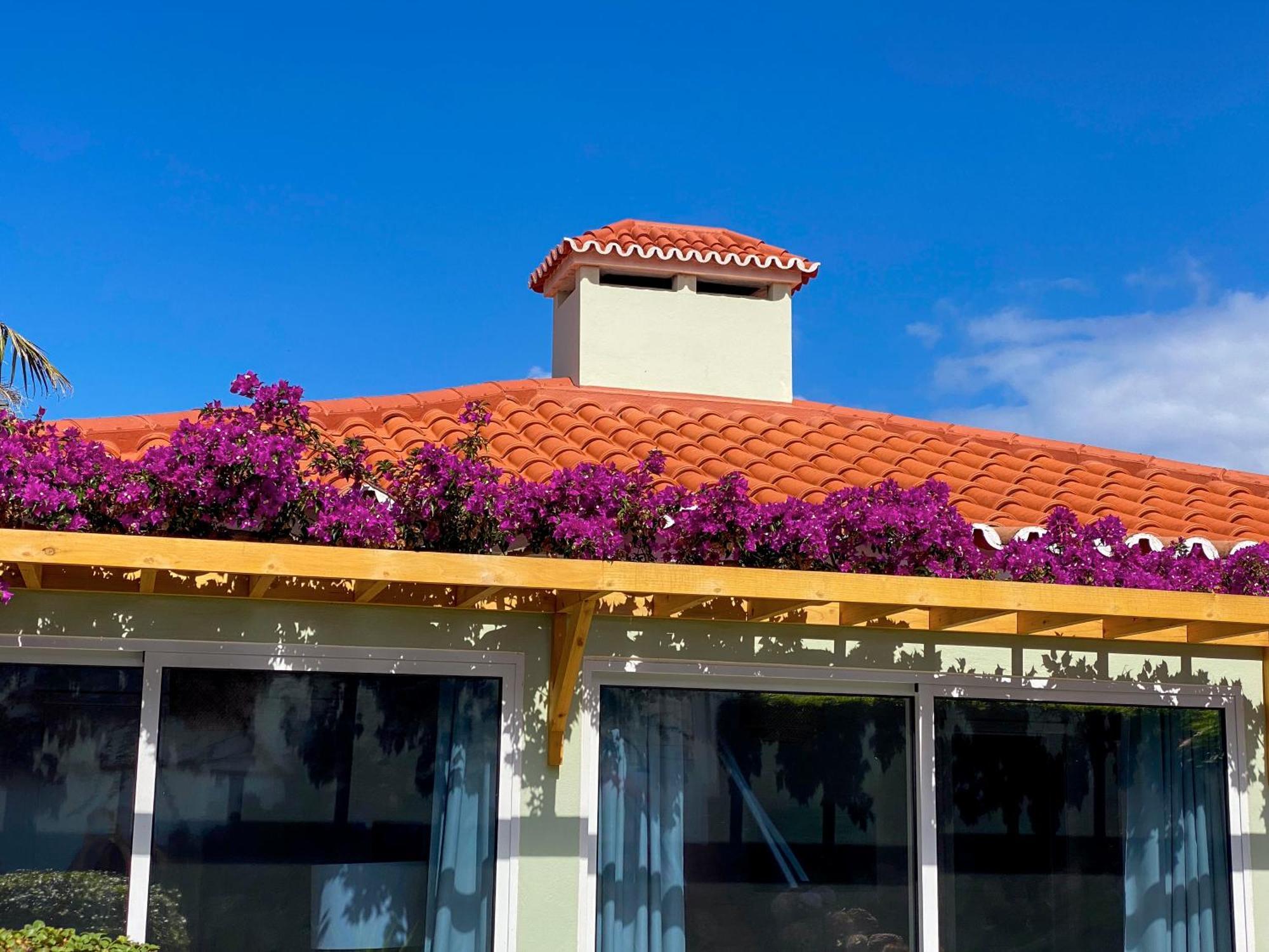 Terra Vivaz - Ribeira Cottage Ribeira Grande Kültér fotó