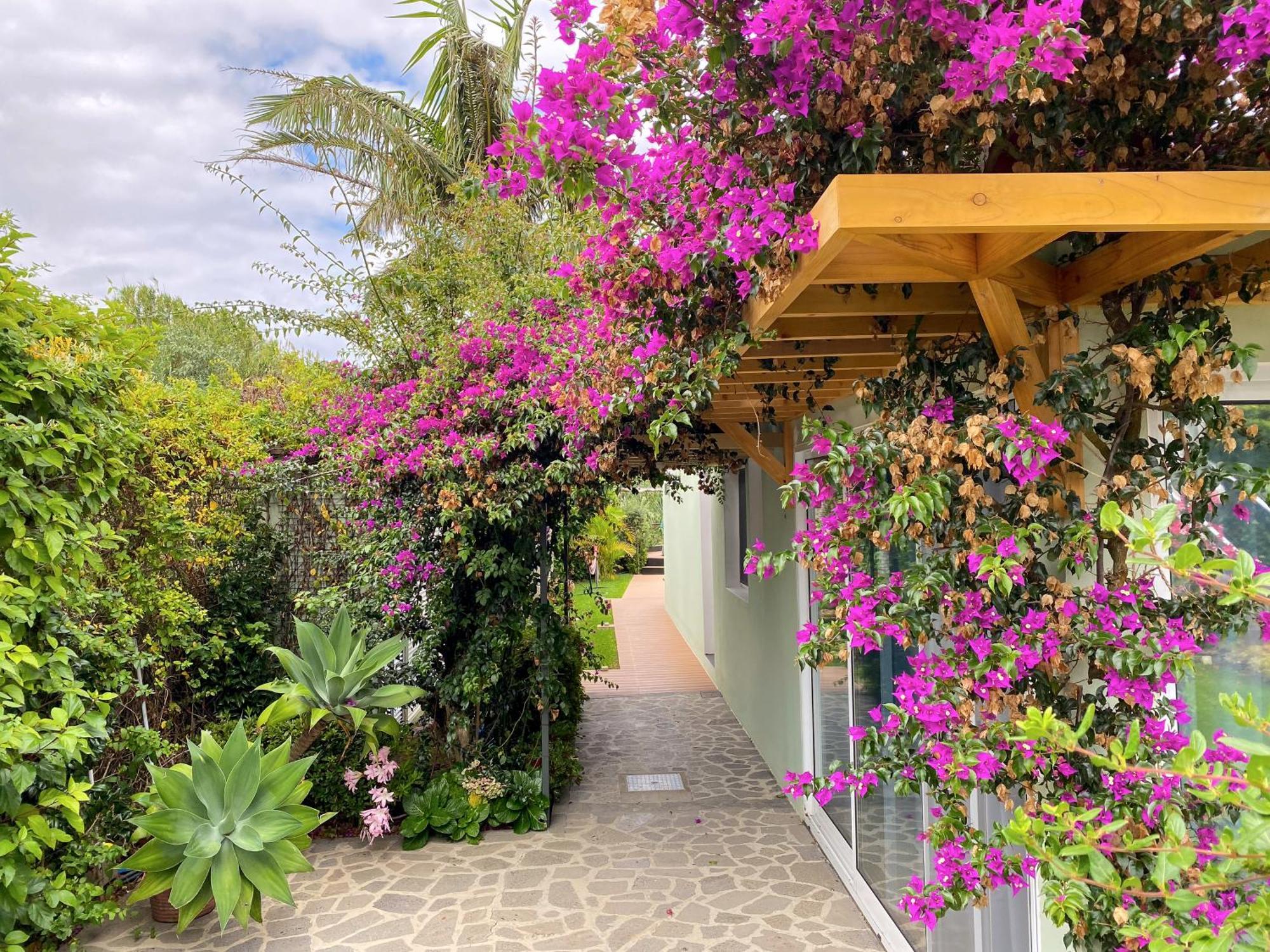 Terra Vivaz - Ribeira Cottage Ribeira Grande Kültér fotó
